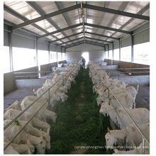 Fast install galvanized steel structure corrugated steel sheet wall farm house Poultry shed steel frame Building